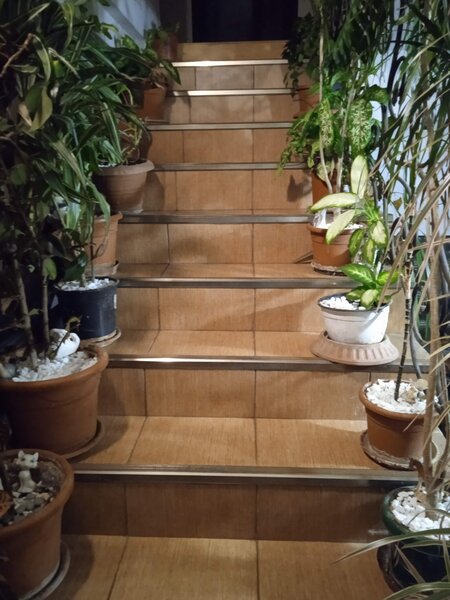 Titulescu, Bucuresti sectorul 1,